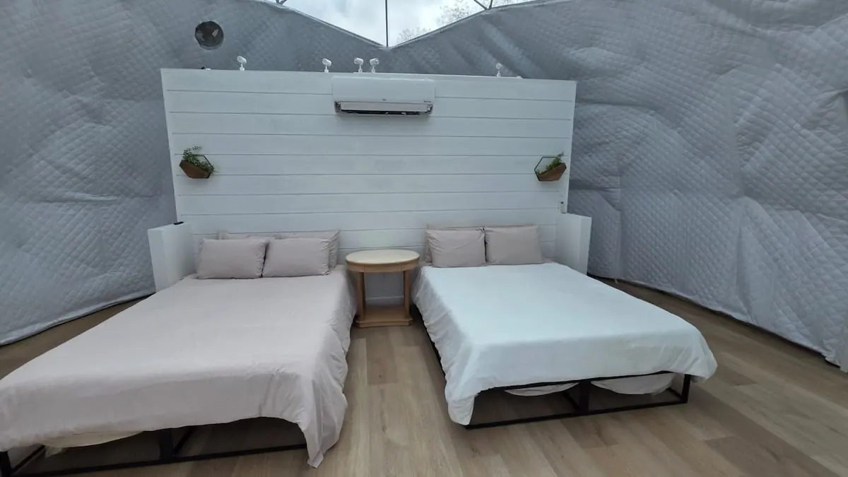 Dome 3